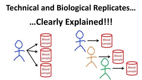 biological replicates|biological replicates meaning.